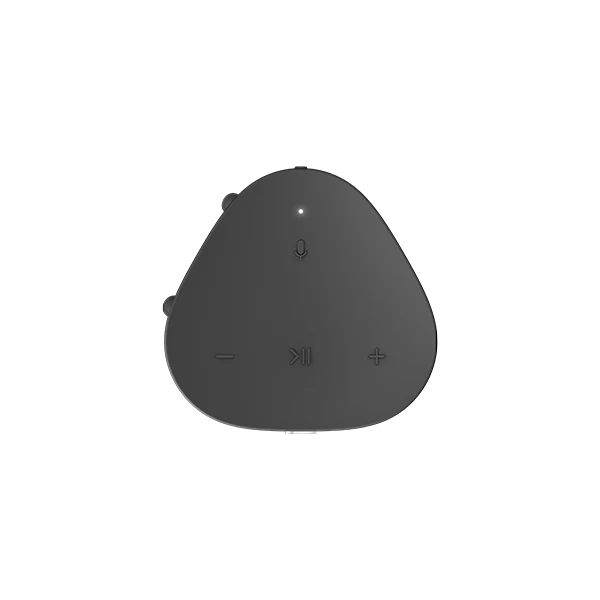 Sonos Roam 2